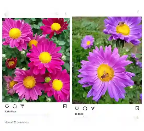 instavideosave video download